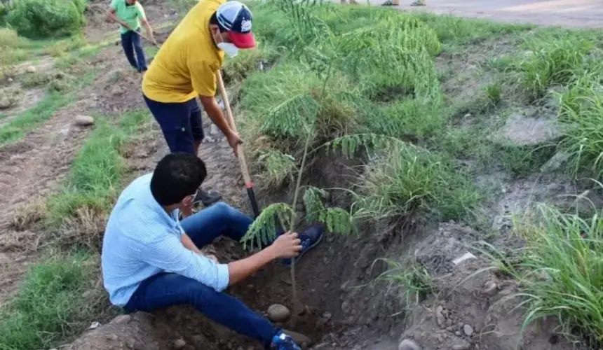 Yebavito, Navolato tendrá corredor verde por iniciativa ciudadana