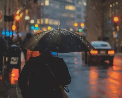 Cuál es el estado de la República Mexicana donde más llueve