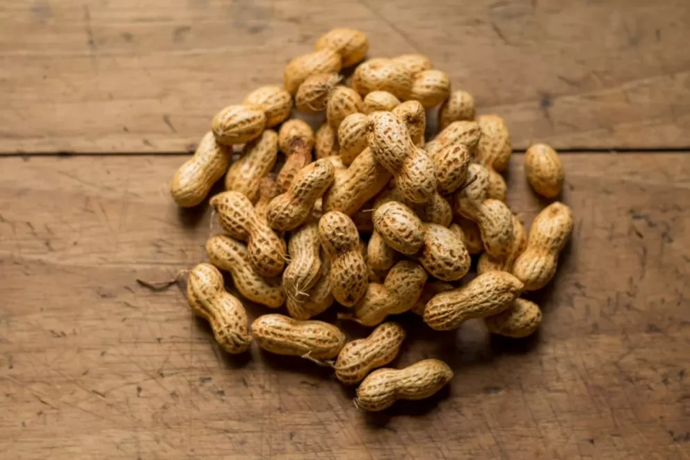 Sinaloa tiene el segundo lugar en producción de cacahuate con 22 mil 166 toneladas. Foto: Isai Dzib