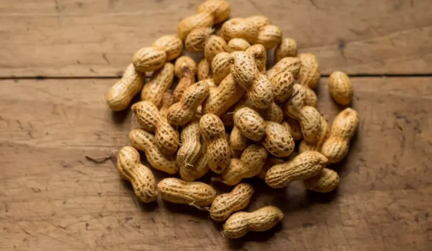 Así se cultivan los cacahuates y se hace el tostado tradicional. Foto: Isai Dzib 