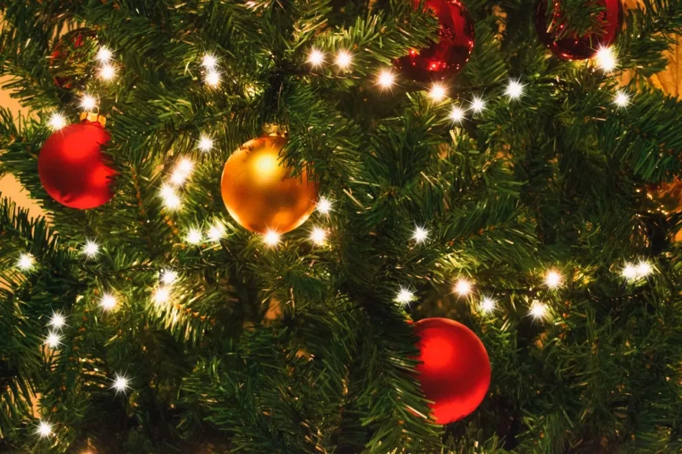 CFE: Reduce accidentes al poner el arbolito y decoraciones navideñas con estas recomendaciones