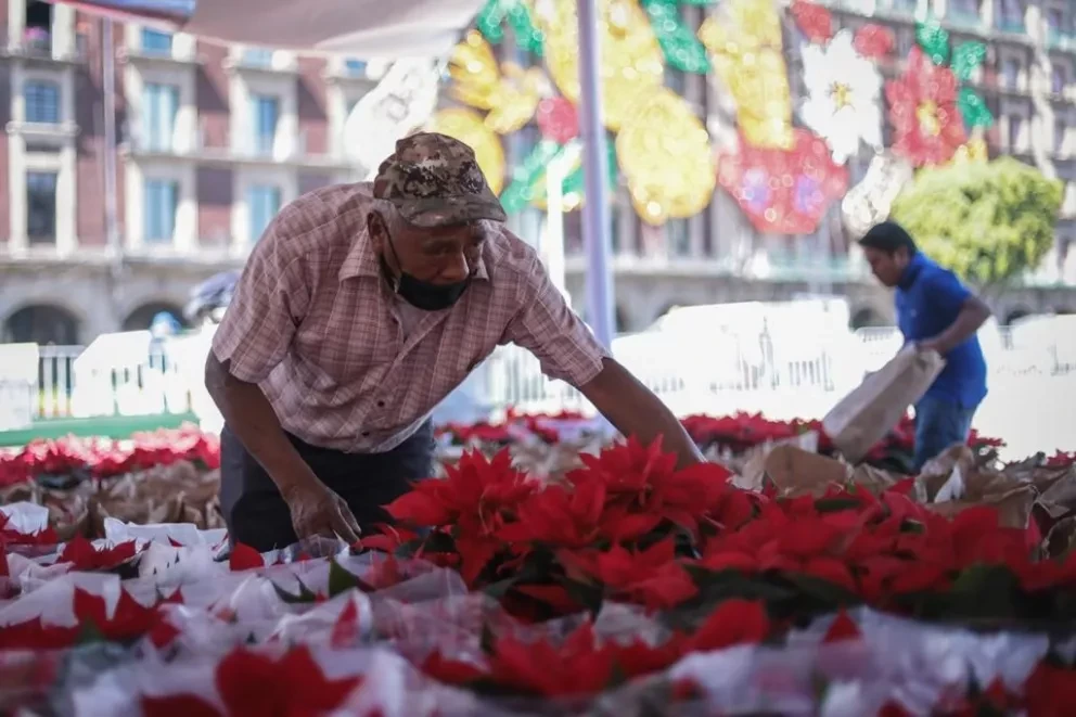 Gran Venta de Nochebuena en el Zócalo de la Ciudad de México, del 13 al 18 de diciembre