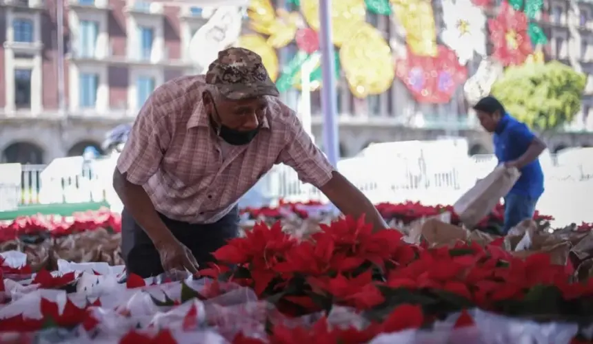 Gran Venta de Nochebuena en el Zócalo de la Ciudad de México, del 13 al 18 de diciembre 