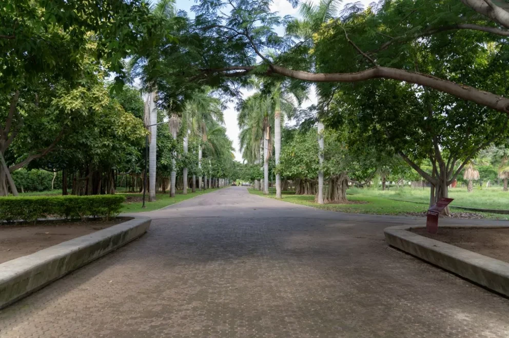 La diferencia entre un parque y un jardín botánico