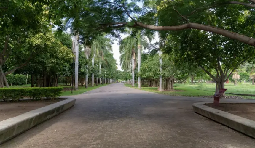 La diferencia entre un parque y un jardín botánico