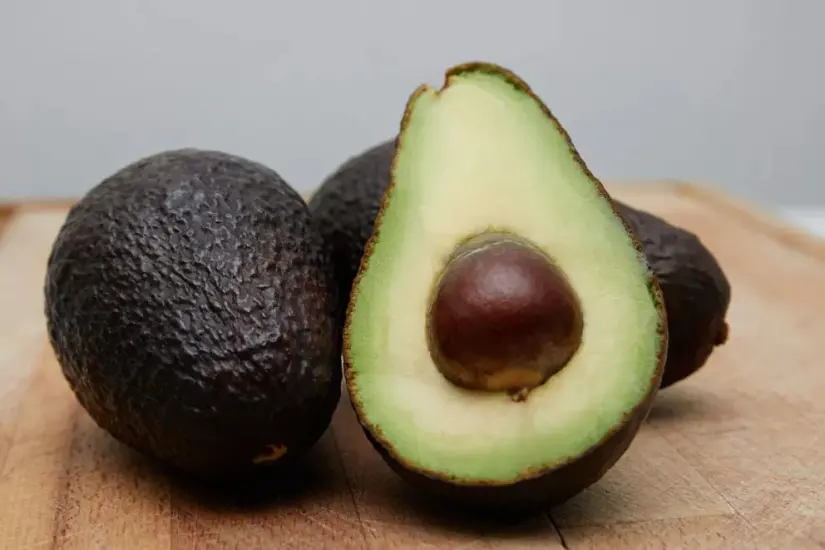 Aguacate mexicano | Imagen cortesía