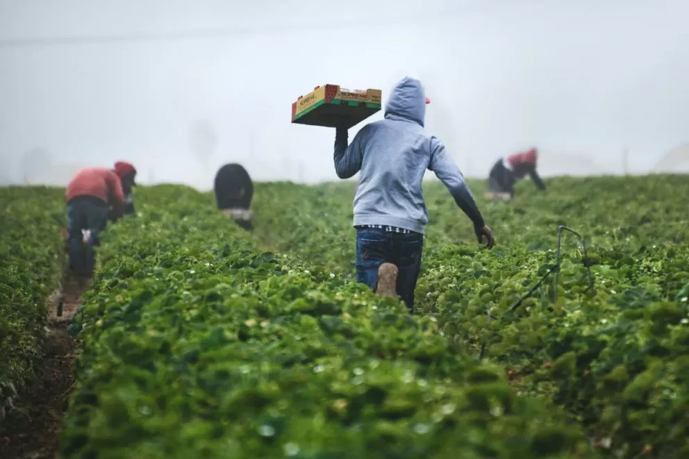 Estos países son líderes en el mundo en producir tus alimentos favoritos. Foto: Tim Mossholder.