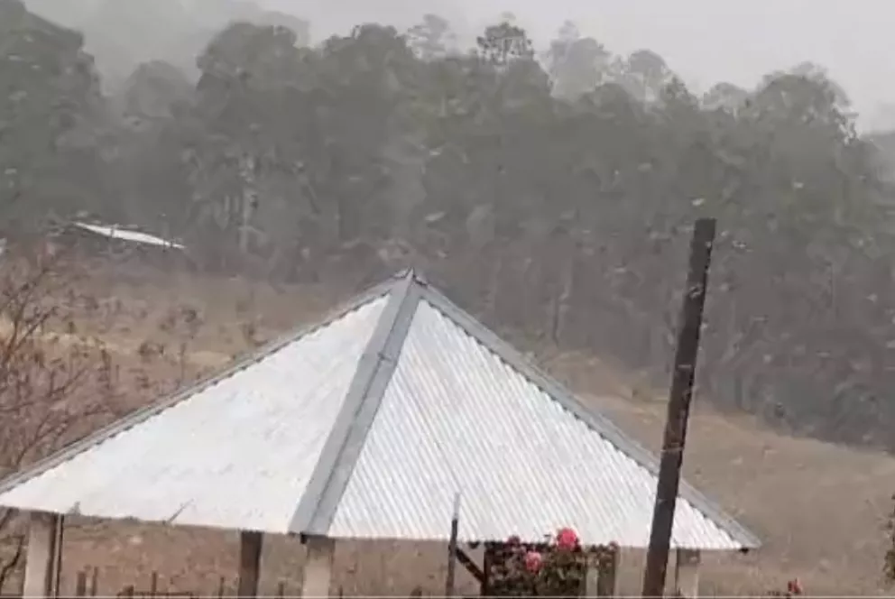 Cae la primera nevada en Santa Gertrudis, Badiraguato.