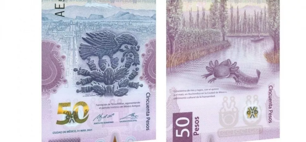 Billete del ajolote en Mercado Libre, este es su precio del 2023.