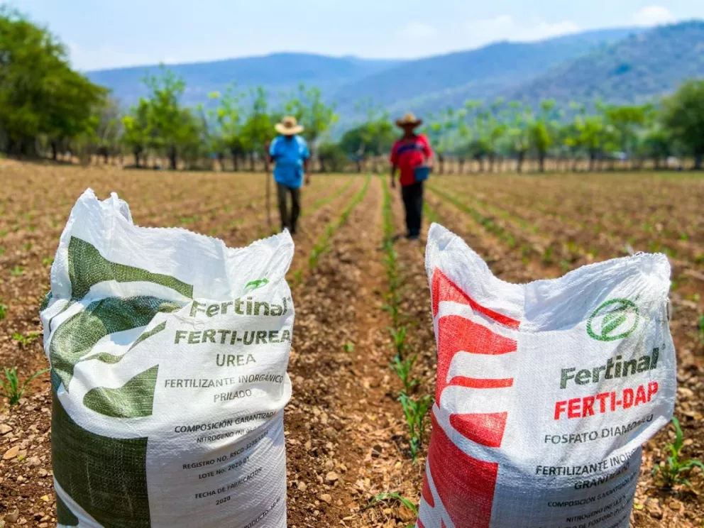 Amplía Gobierno de México programa Fertilizantes para el Bienestar a nivel nacional
