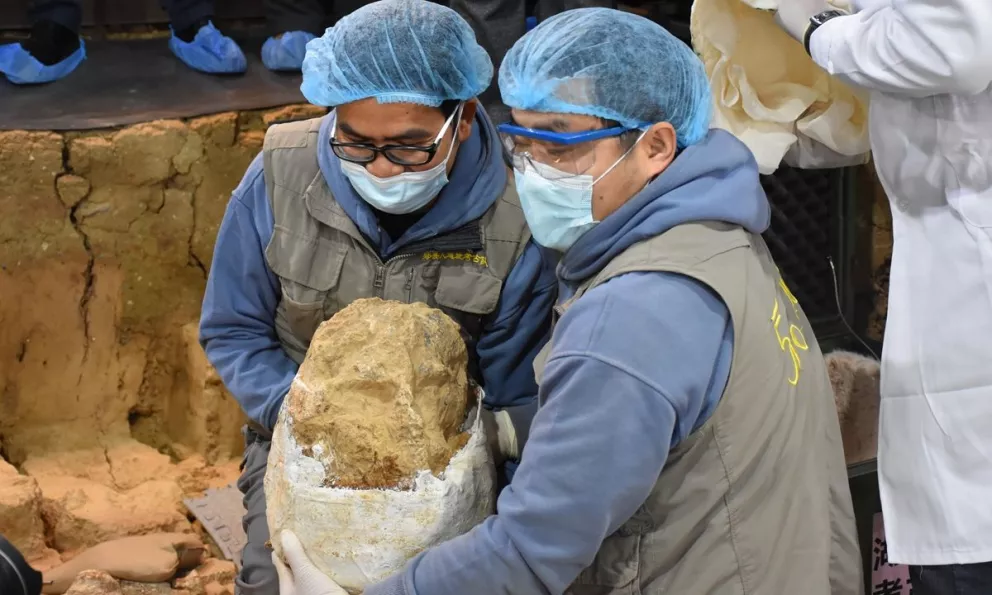 Arqueólogos hallan en China un cráneo humano de un millón de años.