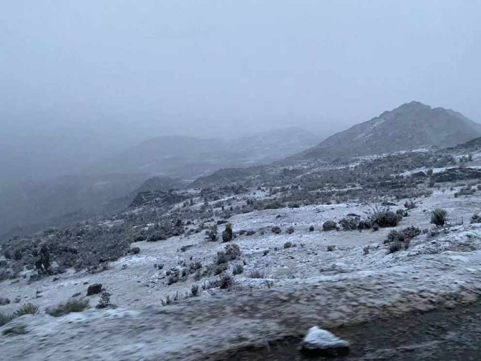 Pico Collado del Cóndor, en Venezuela,  registra su primer nevada del 2023