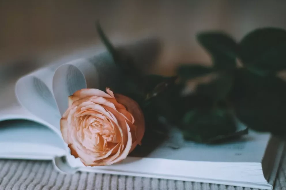 Qué significa el Día de San Valentín, por qué se celebra y qué regalar en esta fecha