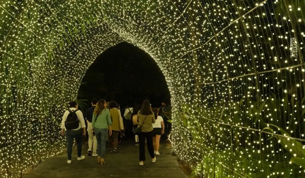 Aprovecha los últimos días de Navidad en el Botánico y vive las noches más brillantes de Culiacán
