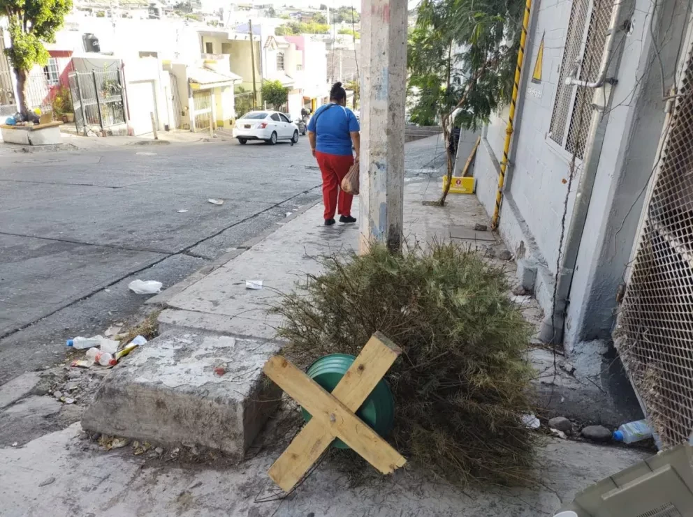 Con la finalidad de evitar contaminación de espacios públicos, el Ayuntamiento de Culiacán, instala Centros de Acopio para árboles navideños en diferentes puntos de la ciudad. Foto: Juan Madrigal