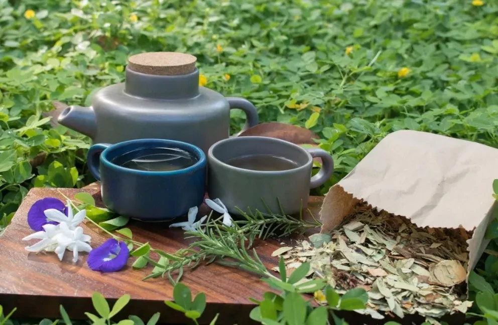 Jardín Botánico Culiacán te invita a aprender a hacer tus propias infusiones
