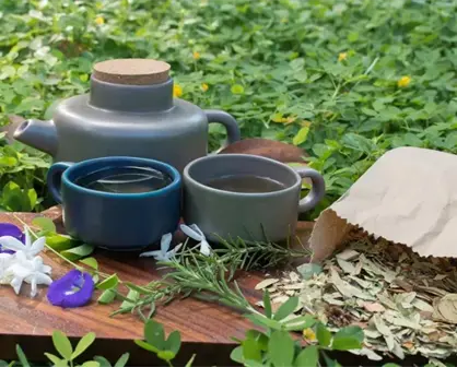 Jardín Botánico Culiacán te invita a aprender a hacer tus propias infusiones