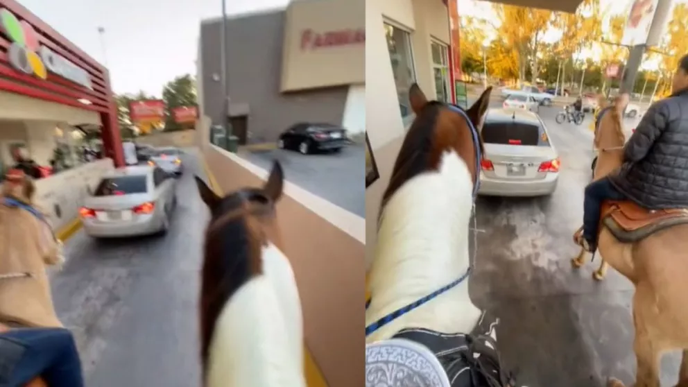 VIDEO: Jóvenes van en caballo a CAFFENIO en Los Mochis, Sinaloa; se hacen virales en TikTok