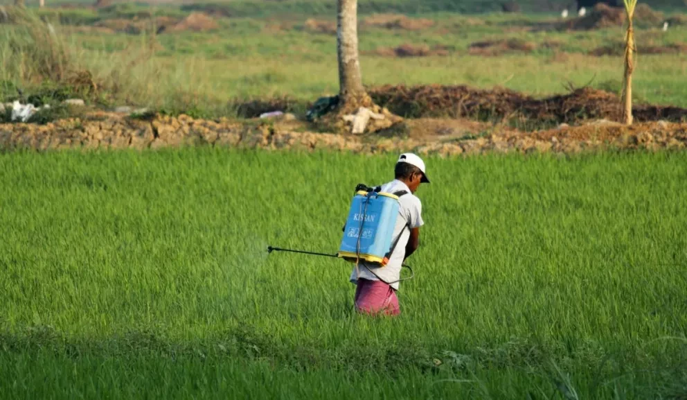Se pronunciaron también por priorizar un uso más eficiente del agua y el suelo para proteger los recursos naturales y brindar mayores garantías de que los alimentos que llegan a los consumidores son seguros. Foto: Arjun MJ