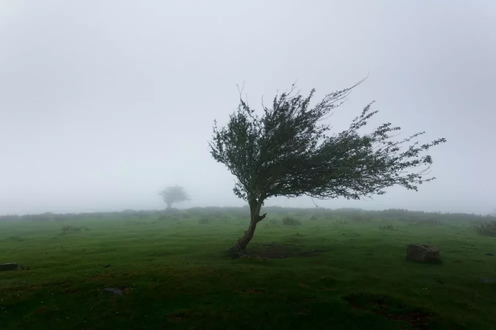 Nuevo León. Recomendaciones ante fuertes vientos. Foto: Khamkéo Vilaysing