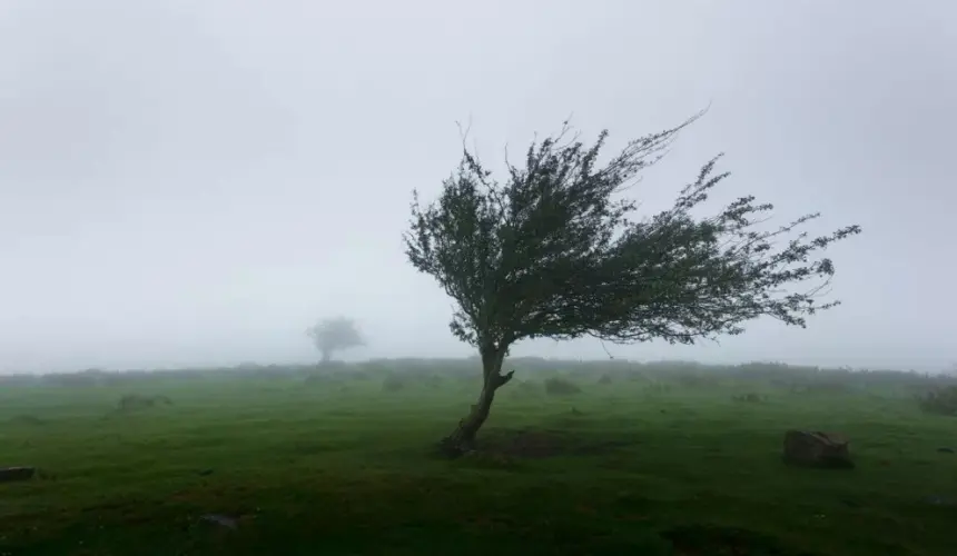 Nuevo León. Recomendaciones ante fuertes vientos. Foto: Khamkéo Vilaysing 