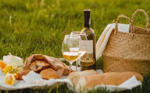 Bosque de Chapultepec ya hay fecha para el primer picnic nocturno 2023