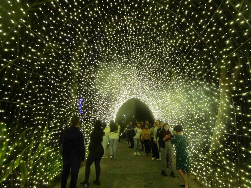 Navidad en el Botánico