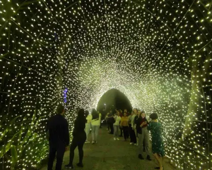 Navidad en el Botánico