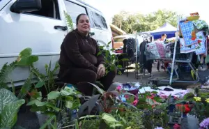 “Paloma”, reina de plantas medicinales y de jardín en tianguis de Culiacán