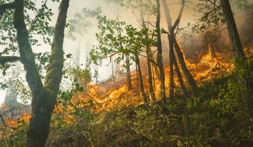 Los incendios forestales nos afectan a todos. Para poder prevenirlos necesitamos tu apoyo siguiendo estas recomendaciones. Foto: Karsten Winegeart.