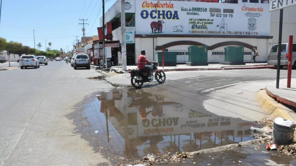 Rehabilitarán el drenaje sanitario y colector pluvial en Guasave, Sinaloa, confirma el alcalde