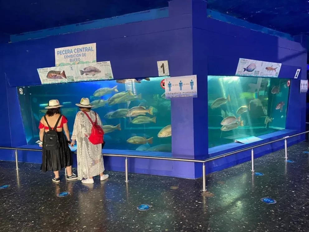 Acuario en Mazatlán, Sinaloa