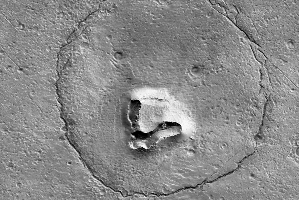 Nasa ¿Un oso en Marte?