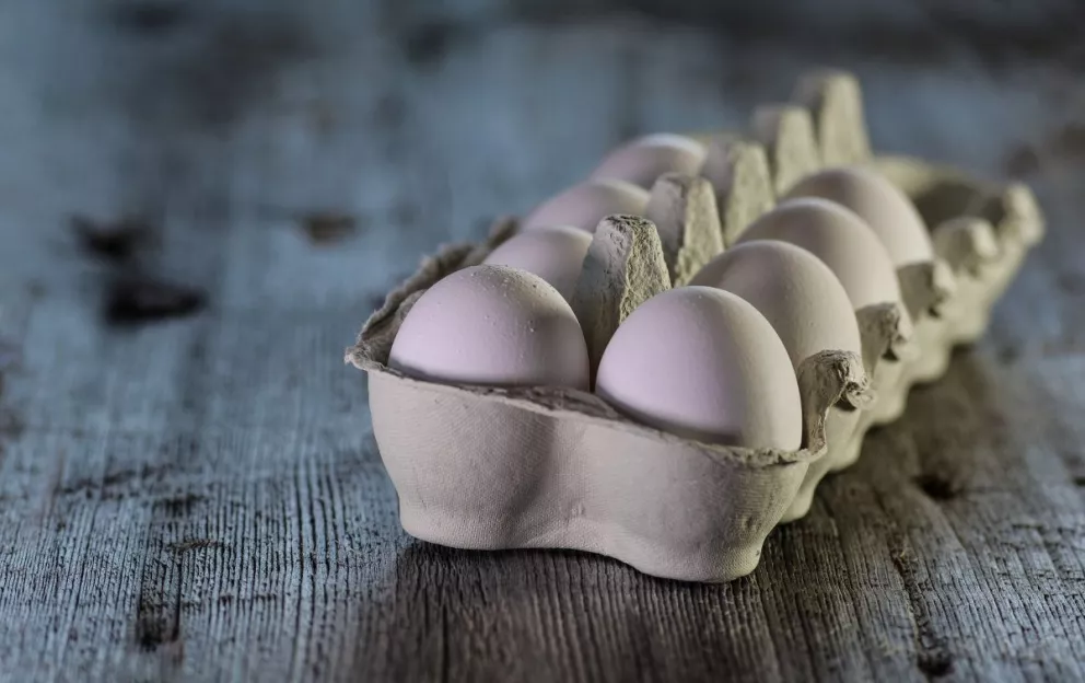 Cómo saber cuando un huevo está podrido, checa este truco que te ayudará a saber cuándo un huevo está bueno o no sirve