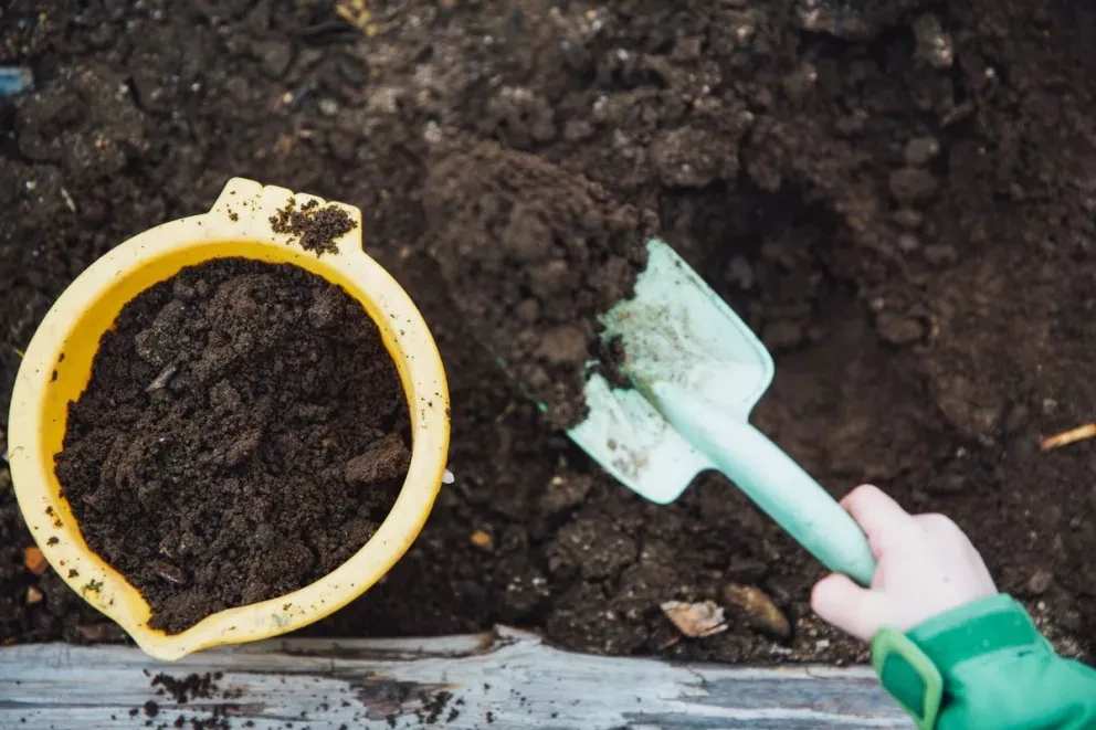Las heces de tu perro sirven para hacer abono orgánico para las plantas. Foto: Markus Spiske