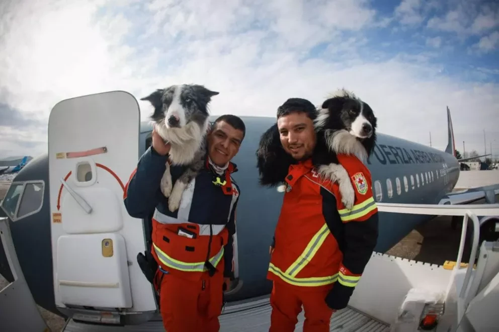 Perros Rescatistas. Foto: Sentinel México