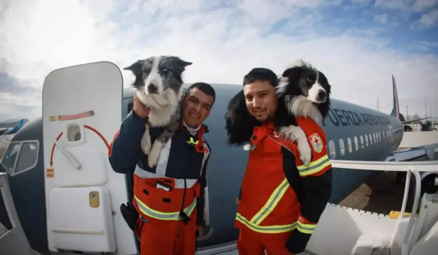 Perros Rescatistas. Foto: Sentinel México