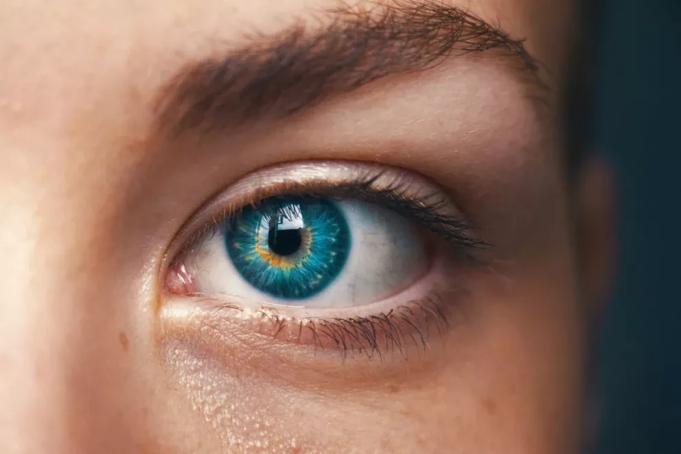 Qué es la inteligencia emocional. Amanda Dalbjörn