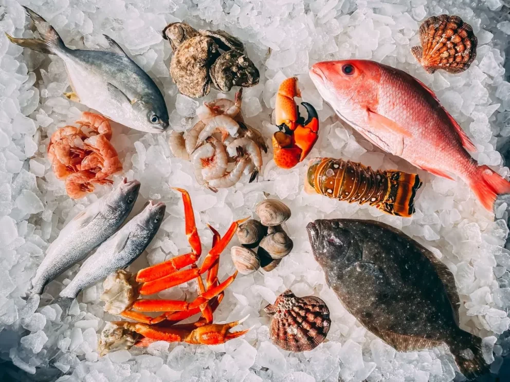 Feria del Pescado y el Marisco en Nayarit; todos los detalles sobre este gran evento.