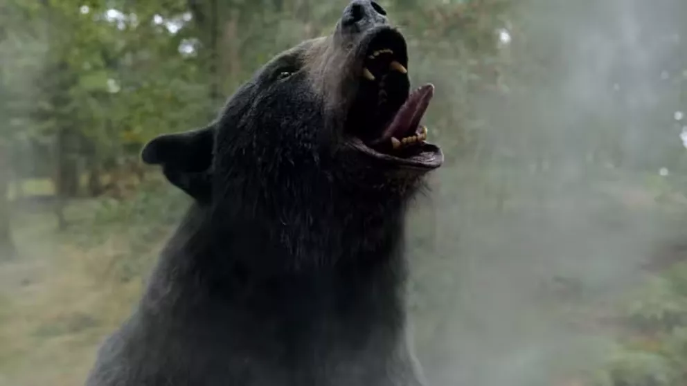 Cocaine Bear: dónde ver la polémica película en México, fecha de estreno, de qué trata, cuánto dura y trailer 