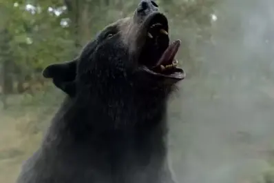 Cocaine Bear: dónde ver la polémica película en México, fecha de estreno, de qué trata, cuánto dura y trailer