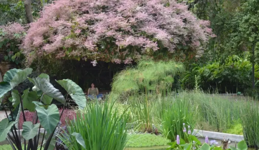 Visita Jardín Botánico de Culiacán y disfruta de una maravillosa experiencia al conectar con todo aquello que nos brinda vida. Fotos: Juan Madrigal