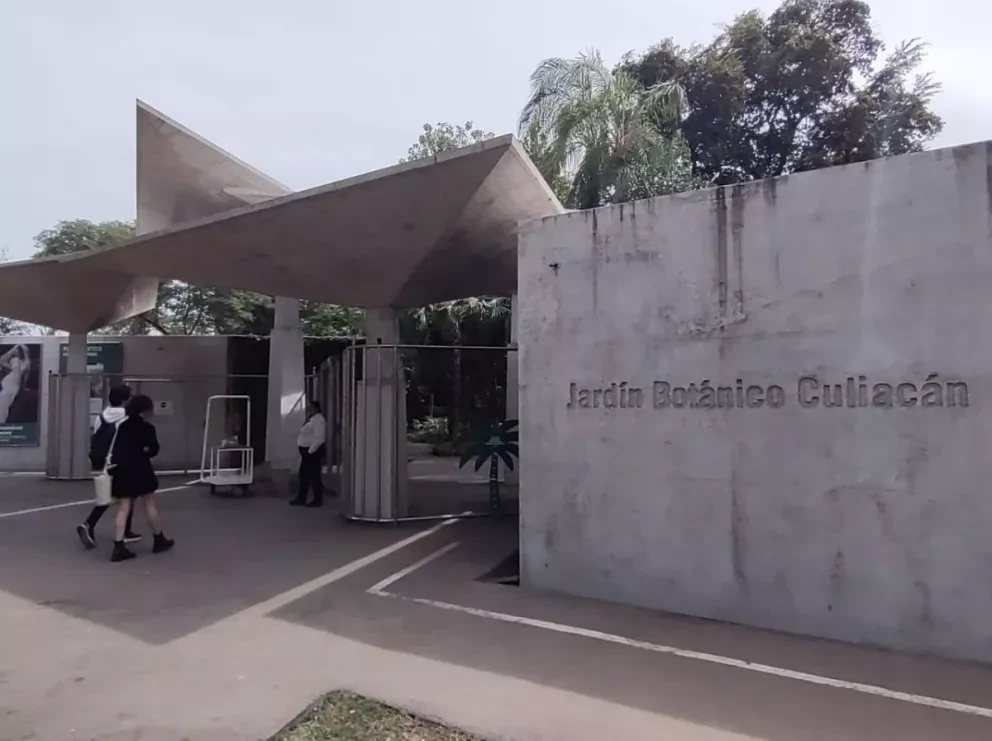 ¡Prepara las palomitas! Del 13 al 19 de marzo se proyectarán gratis excelentes películas actuales en el Jardín Botánico Culiacán