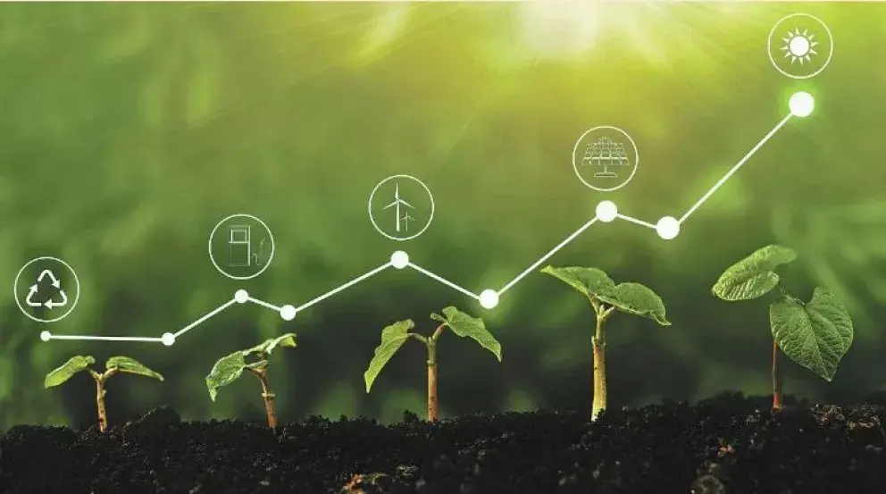 Diferencia entre sustentable y sostenible