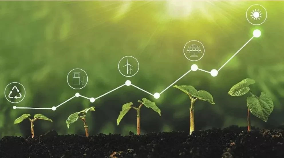 Diferencia entre sustentable y sostenible
