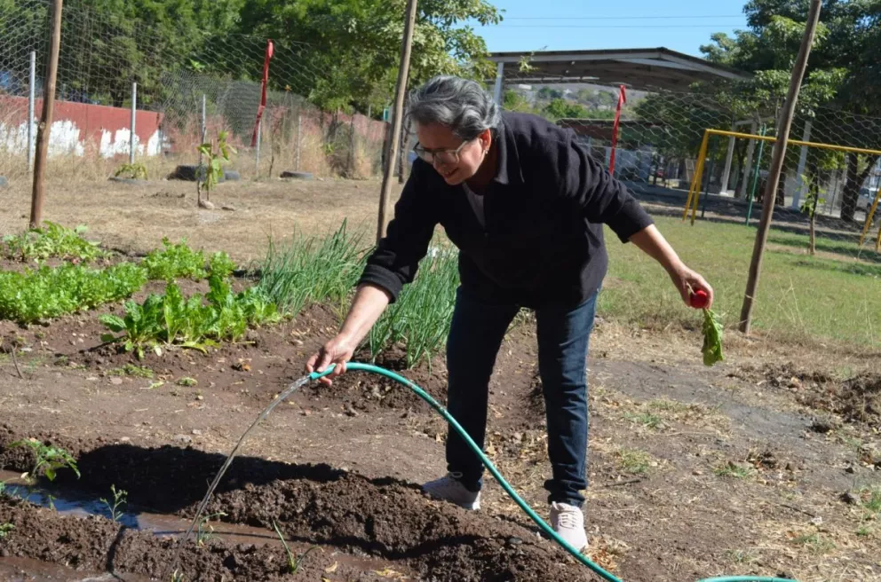 Los vecinos de San Benito expresan que, en un futuro, desean no solo sembrar hortalizas o verduras, sino también plantas medicinales. Fotos Juan Madrigal