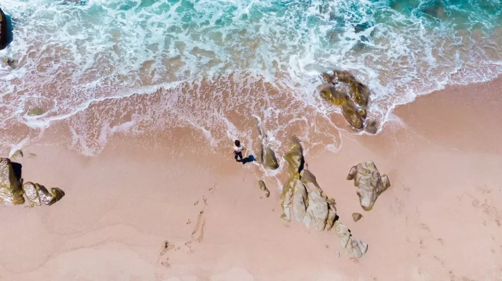 ¿Y nosotros qué con la emergencia climática Altata, Mazatlán, economía y sobrevivencia humana. Foto: Jezael Melgoza