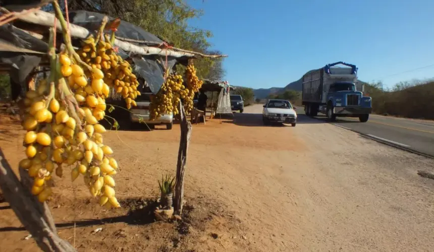 ¿Ya probaste las aguamas? en el pueblo de Terreros hay agrias o en dulce