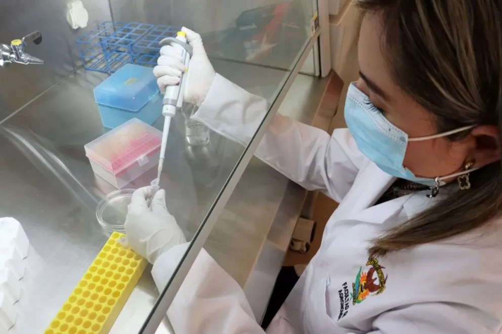 La investigación realizada en la UAS tiene una influencia creciente en la sociedad: Investigadores