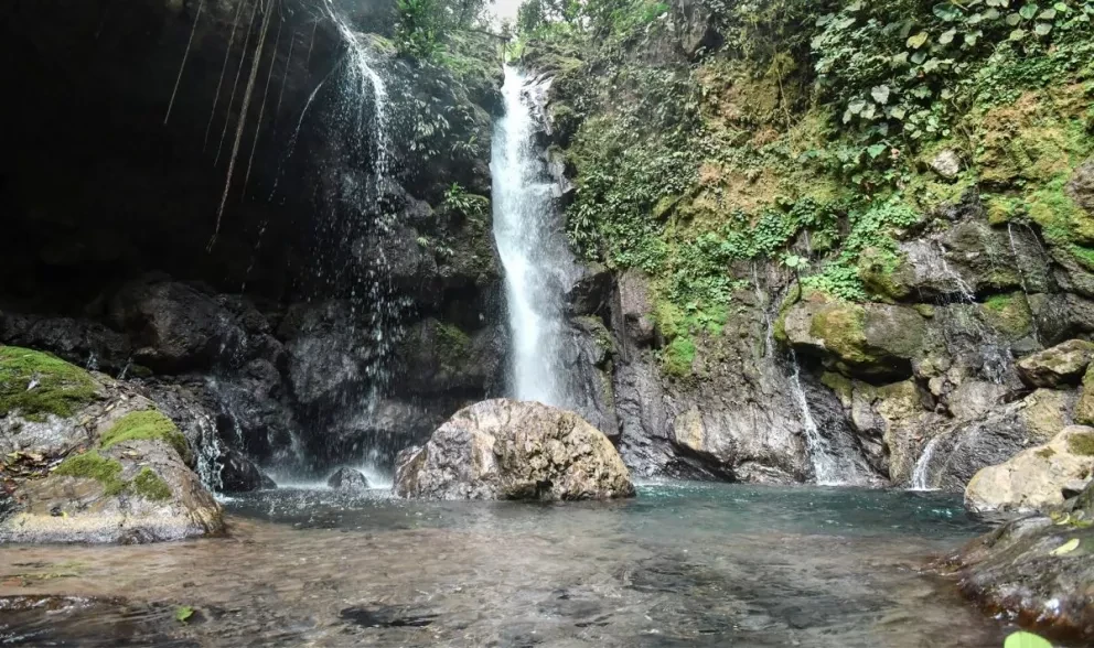Perú: El Parque Nacional Tingo María gana premio como destino sostenible en Berlín
